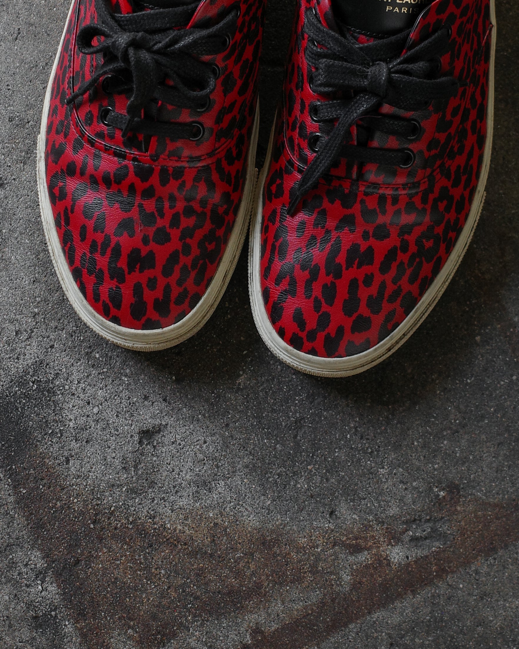 Saint Laurent Paris Babycat Sneakers – BLINDATE INC