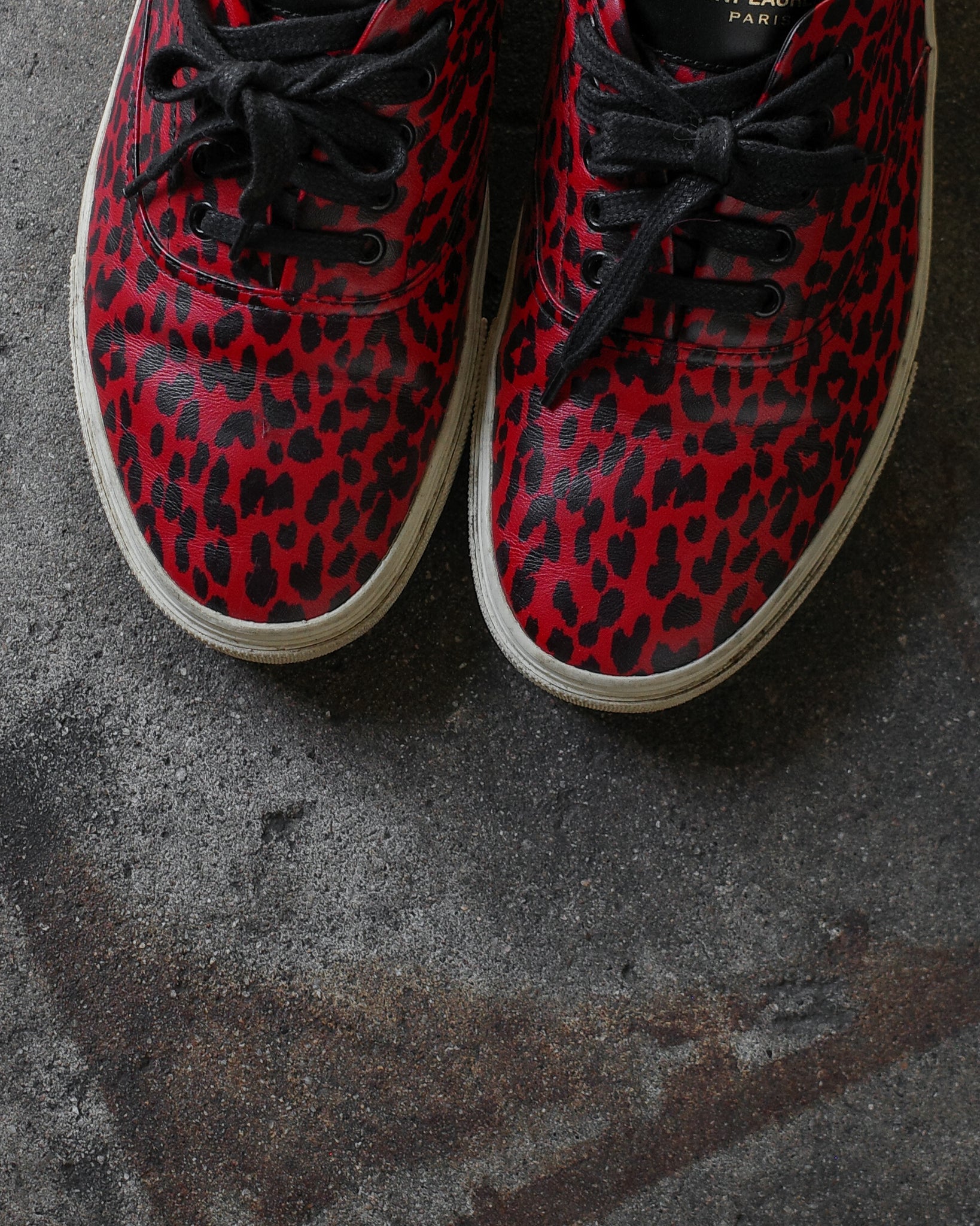 Saint Laurent Paris Babycat Sneakers