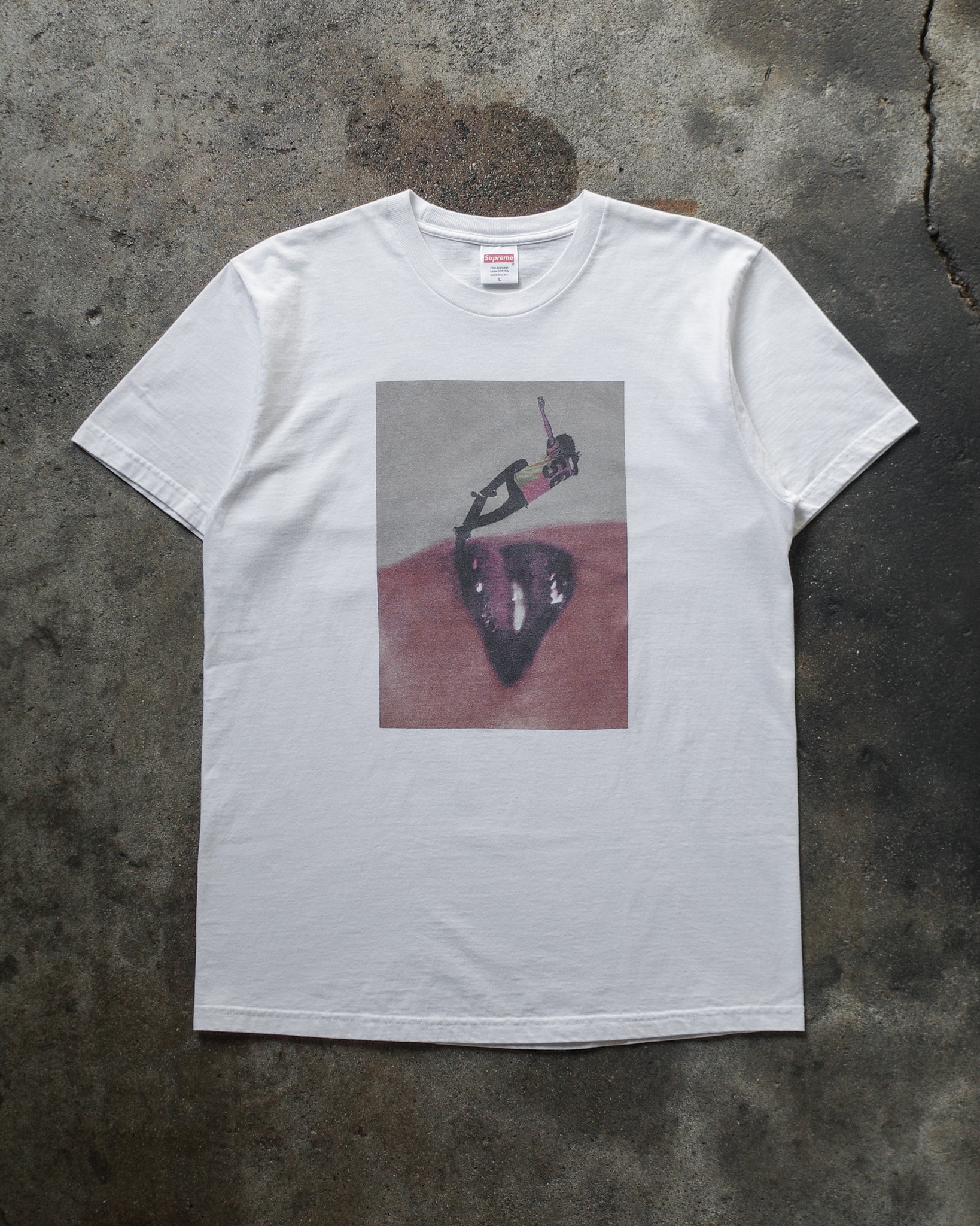 Supreme x David Sims FW15 F&F Photo Tee